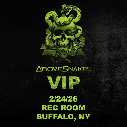 VIP - BUFFALO NY - REC ROOM
